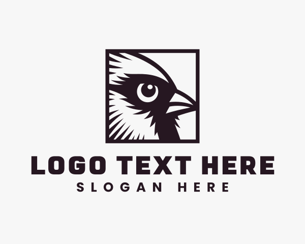 Avian Eye Safari